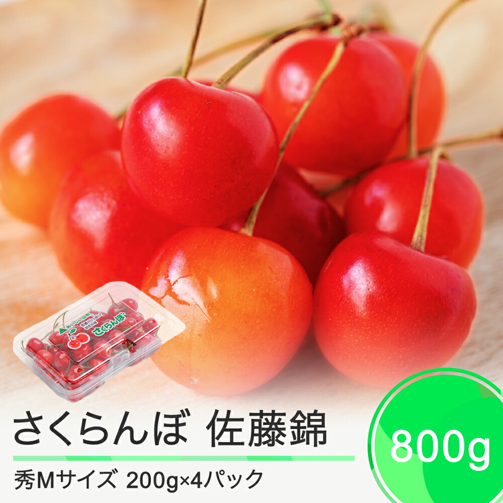 【ふるさと納税】 さくらんぼ 佐藤錦 6月中旬～下旬発送 秀Mサイズ 800g (200gx4パック) フードパック 2025年産 山形県産 送料無料 サクランボ