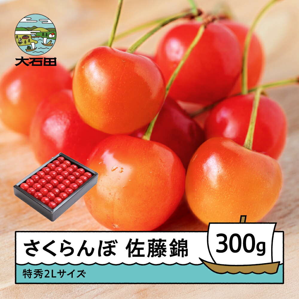 【ふるさと納税】 さくらんぼ 佐藤錦 6月上旬～下旬発送 特秀2Lサイズ プレゼント ギフト 化粧箱鏡詰め 300g 2026年産 山形県産 送料無料 サクランボ ns-snt2x300