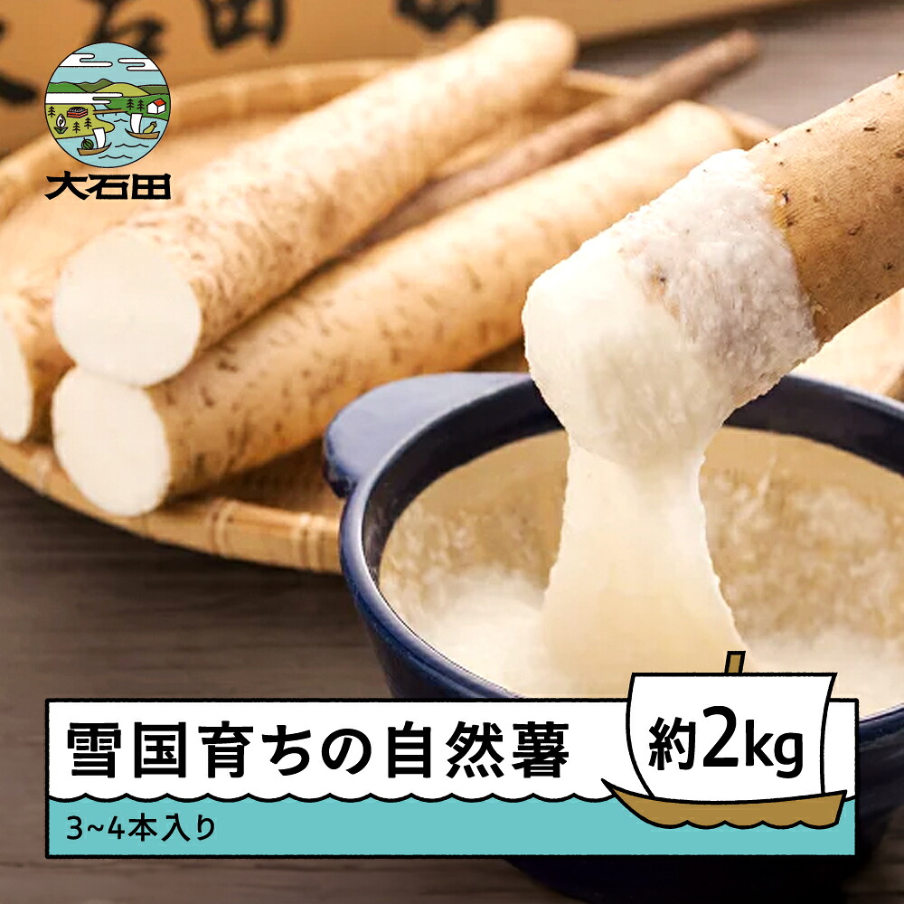 【ふるさと納税】山形県産 自然薯 雪国育ちの自然薯 約2kg 3～4本入り 送料無料 oz-zixxx2