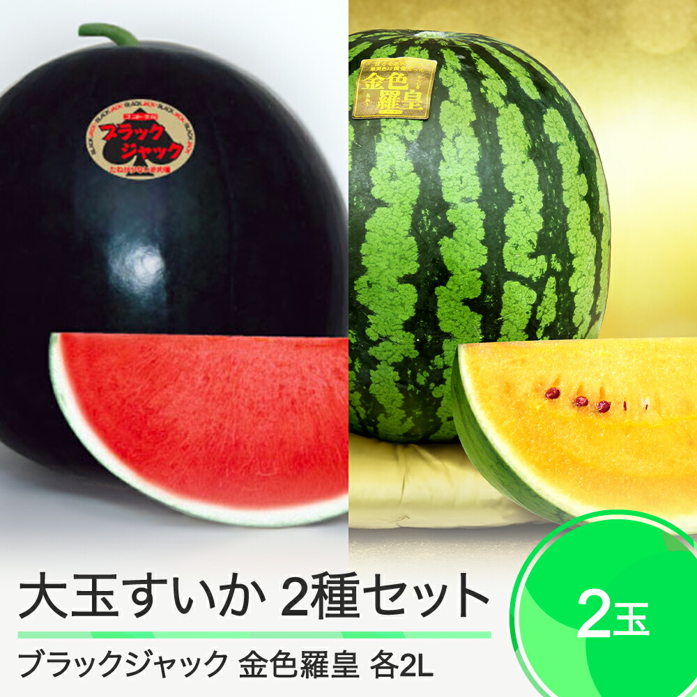 【ふるさと納税】 すいか 大玉すいか 2玉セット 食べ比べ ブラックジャック 金色羅皇 約7kg前後 計2玉入り 2025年産 令和7年産 送料無料 スイカ 大石田町産 8月上旬から順次発送 mn-su2bk2