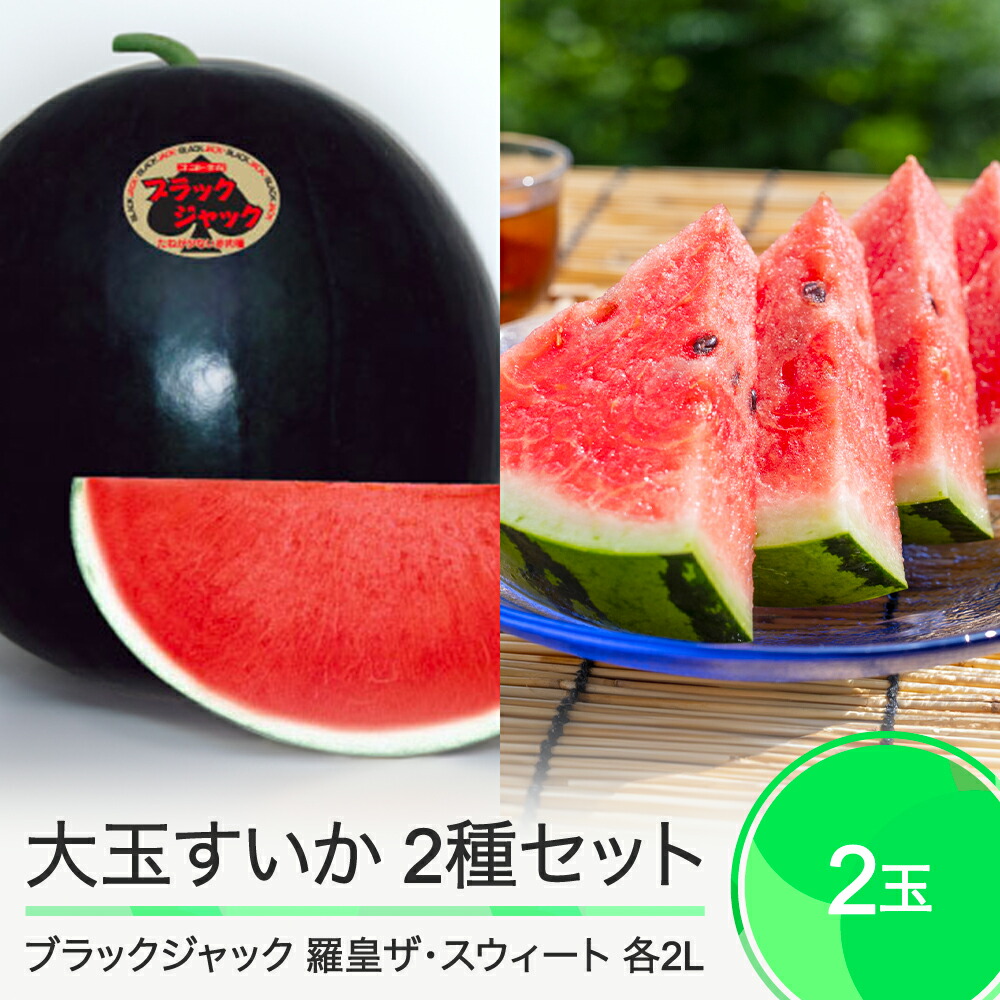 【ふるさと納税】 すいか 大玉すいか 2玉セット 食べ比べ ブラックジャック 羅皇ザ・スウィート 約7kg前後 計2玉入り 2025年産 令和7年産 送料無料 スイカ 大石田町産 8月上旬から順次発送 mn-su2br2