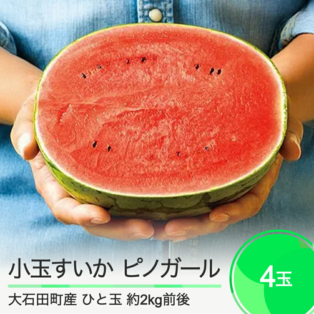 【ふるさと納税】すいか 小玉すいか ピノガール 約2kg前後×4玉 2025年産 令和7年産 送料無料 スイカ 山形県産 大石田町産 mn-sukxx4