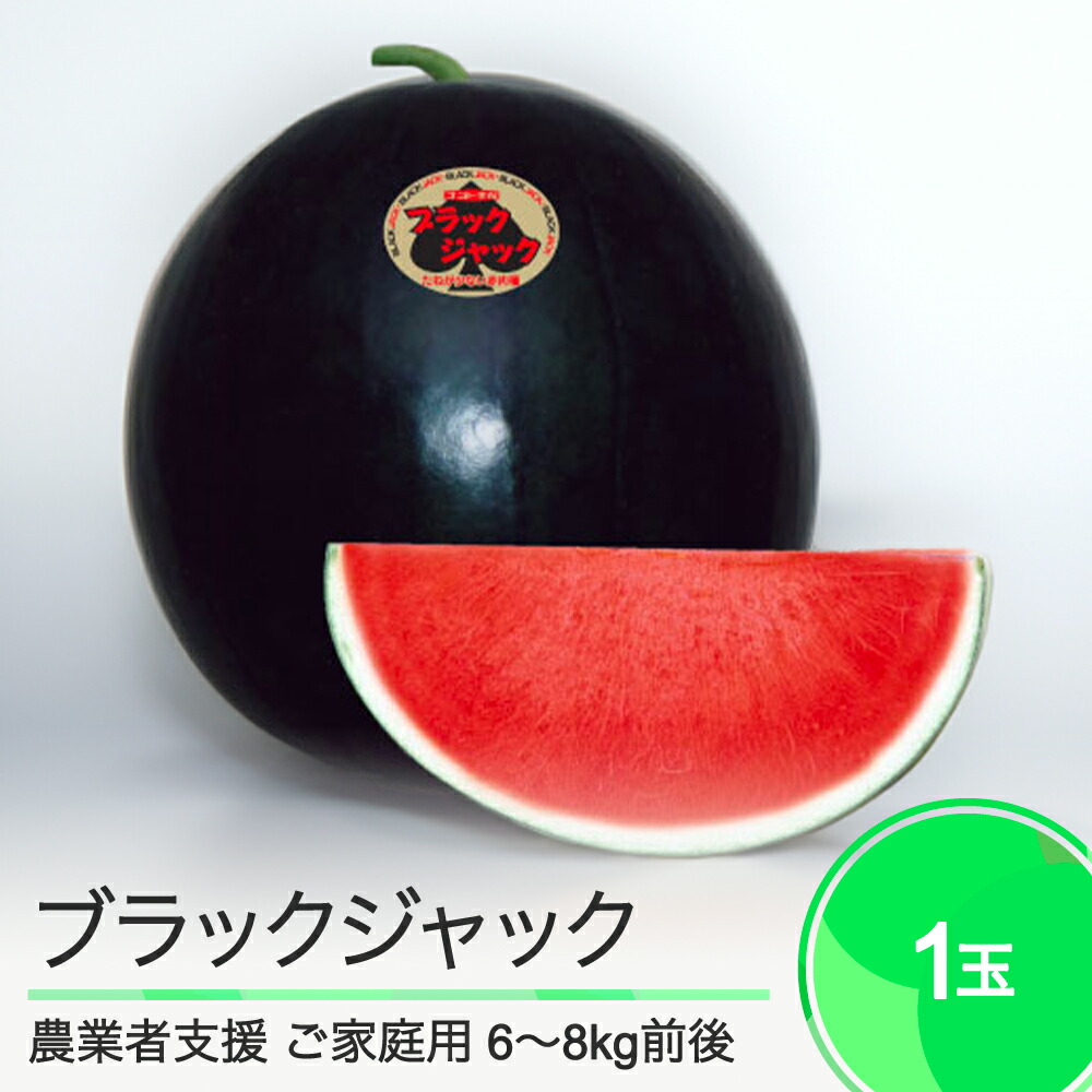 【ふるさと納税】 すいか ご家庭用 大玉 ブラック・ジャック 約6～8kg前後 1玉入り 2025年産 令和7年産 送料無料 スイカ 大石田町産 8月上旬から順次発送 mn-suwbj