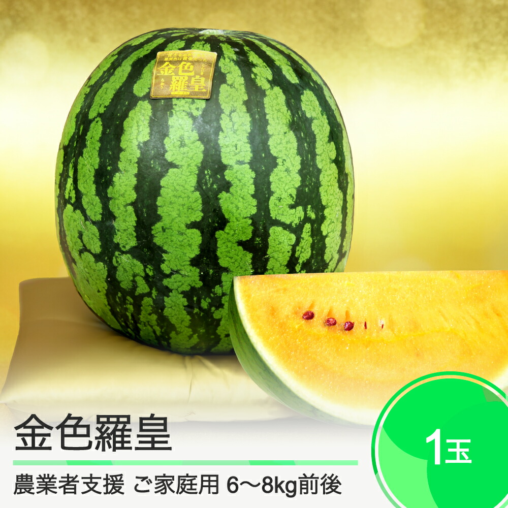 【ふるさと納税】すいか ご家庭用 大玉 金色羅皇 約6～8kg前後 1玉入り 2025年産 令和7年産 送料無料 スイカ 大石田町産 8月上旬から順次発送 mn-suwkr