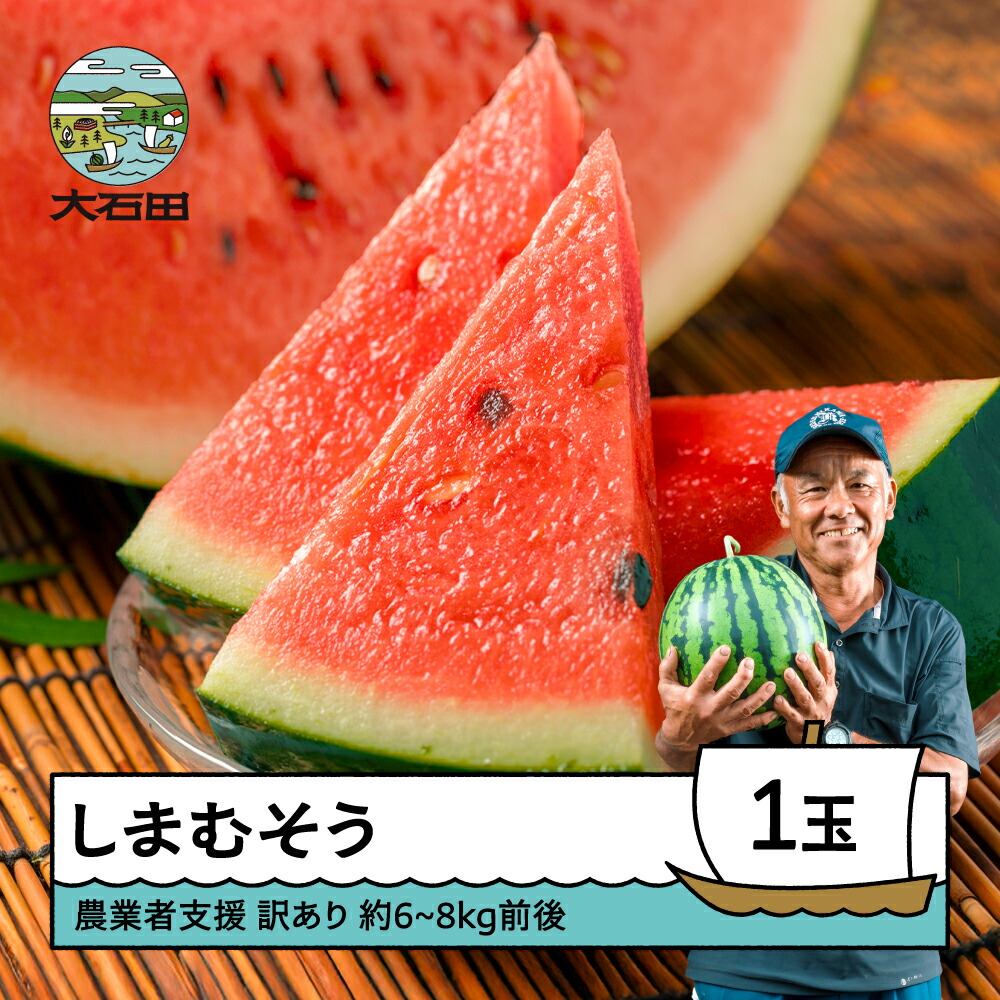 【ふるさと納税】すいか 大玉 約6～8kg&times;1玉入り 【訳あり】2026年産 令和8年産 送料無料 スイカ 大石田町産 7月中旬~下旬に順次発送 gt-susmw｜山形県大石田町