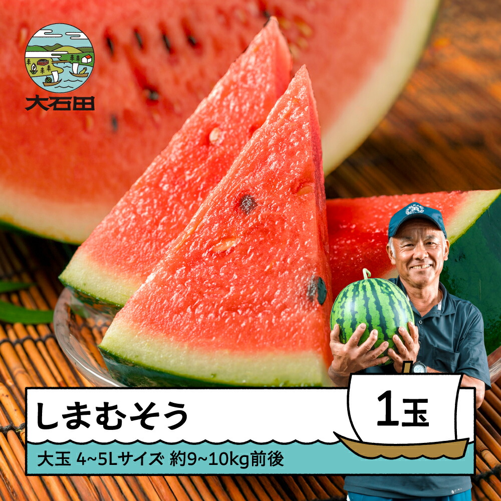 【ふるさと納税】すいか 大玉 4～5L×1玉入り 2026年産 令和8年産 送料無料 スイカ 大石田町産 7月中旬から順次発送 gt-susmx4