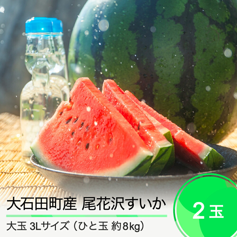 【ふるさと納税】大玉 尾花沢すいか 3L×2玉入り 2025年産 令和7年産 送料無料 スイカ大石田 ja-suo2x3