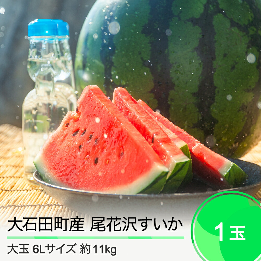 【ふるさと納税】先行予約 尾花沢すいか 大玉 6L×1玉入り 2025年産 令和7年産 送料無料 スイカ 大石田 ja-suooa6