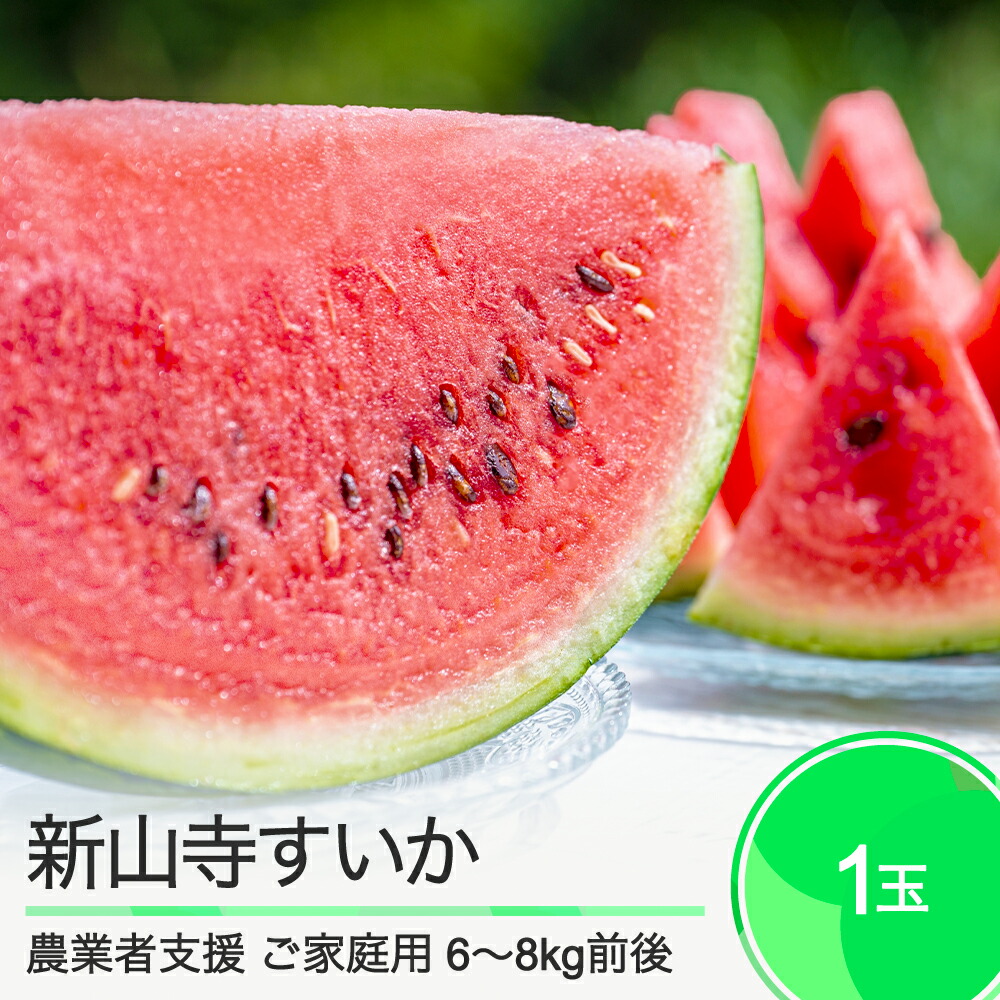 【ふるさと納税】大玉 すいか 【ご家庭用】 新山寺すいか 約6～8kg前後 1玉入り 2025年産 令和7年産 送料無料 スイカ 山形県 大石田町 yd-suwxx