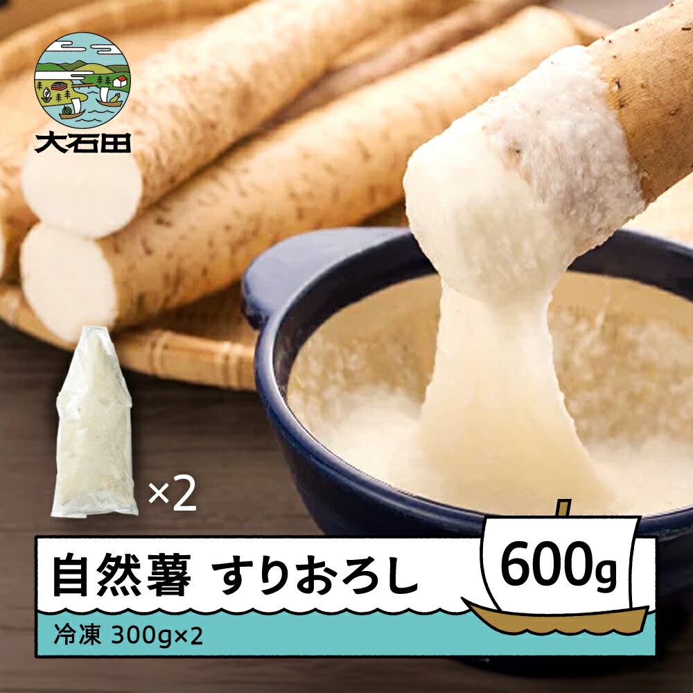 【ふるさと納税】 自然薯 雪国育ちの自然薯 すりおろし 300g×2個 計600g 山形県産 大石田町 oz-zisox600