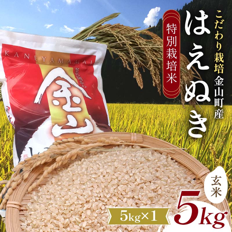 【ふるさと納税】【先行予約 令和7年産】 金山町産 特別栽培米 はえぬき 玄米 5kg 米 お米 ご飯 ブランド米 F4B-0607