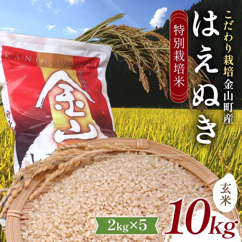 【ふるさと納税】【先行予約 令和7年産】 金山町産 特別栽培米 はえぬき 玄米 2kg×5(10kg) 米 お米 ご飯 ブランド米 F4B-0609