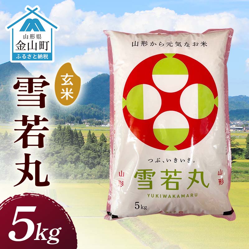 【ふるさと納税】 令和7年産 金山産米 雪若丸 【玄米】（5kg）米 お米 ご飯 玄米 ブランド米 送料無料 東北 山形 金山町 F4B-0789