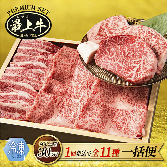 【ふるさと納税】【冷凍】【1回の配送で全11種】特選最上牛を一括でお届け｜山形県最上町