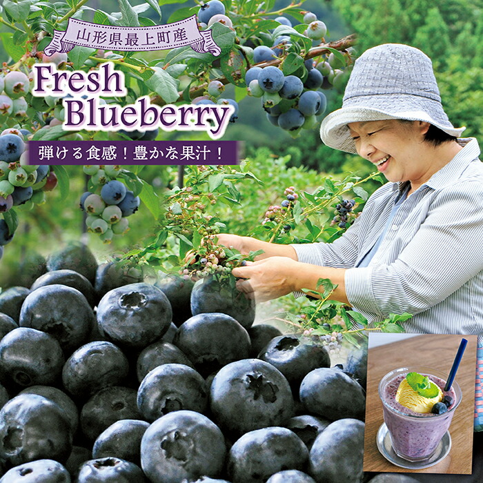【ふるさと納税】【冷凍】最上町産ブルーベリー1kg ※発送は9月～3月になります。
