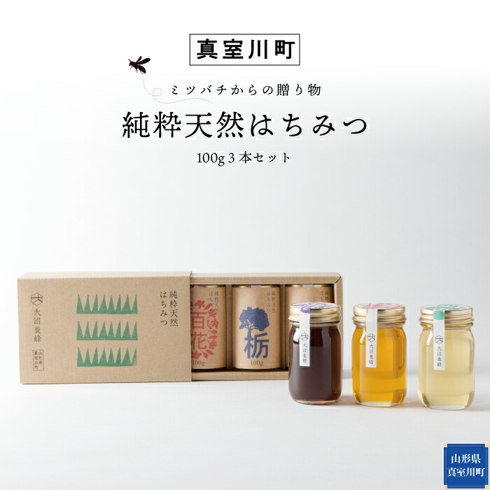 【ふるさと納税】‥ミツバチからの贈り物‥　純粋天然はちみつ(100ｇ)３本セット