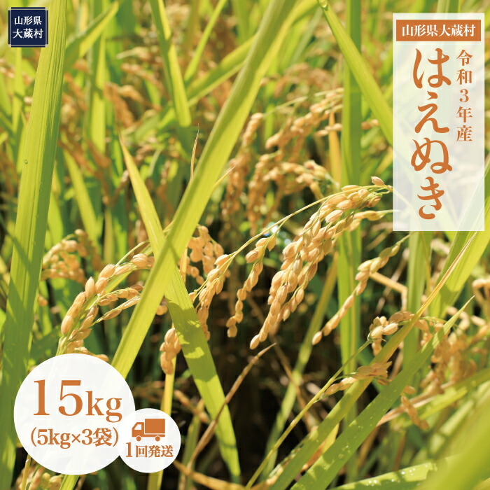 楽天市場】【ふるさと納税】令和3年産 大蔵村はえぬき【精米】 20kg（5kg×4袋） : 山形県大蔵村