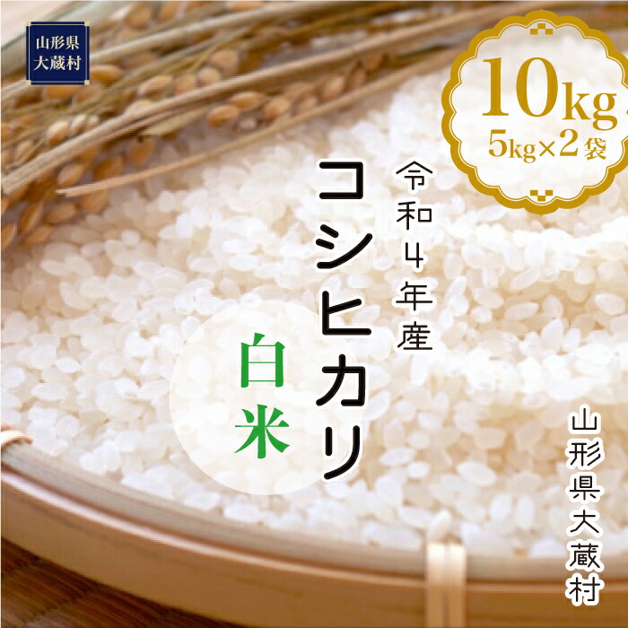 先行予約 はえぬき 計20kg お米マイスター 数量限定 5kg×4袋 精米 山形県 2022年産 ブランド米 米 白米 米沢産 おうちごはん応援米