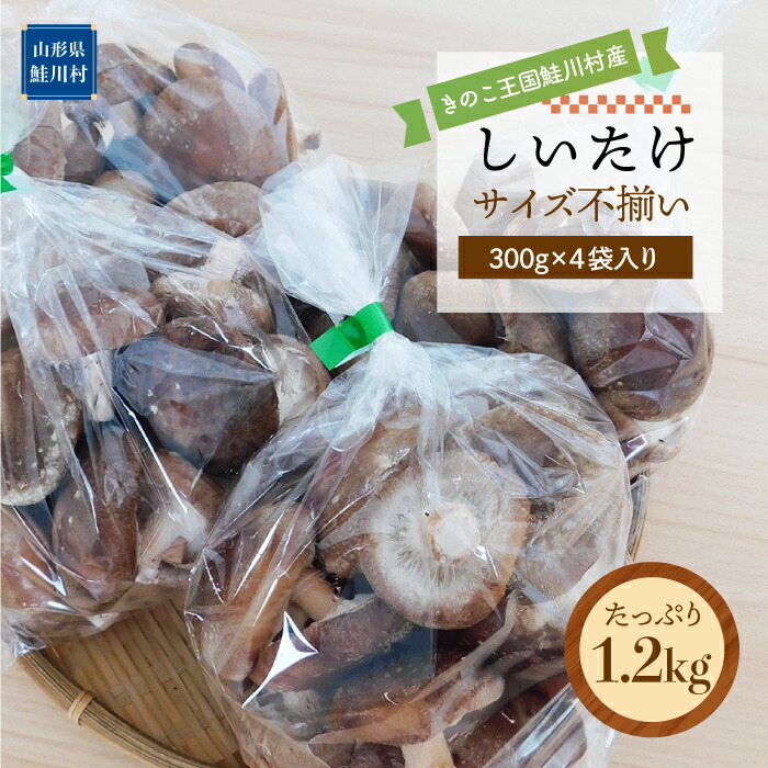 【ふるさと納税】きのこ王国鮭川村産 ［しいたけ］ サイズ不揃い たっぷり1.2kg（300g×4袋入り）