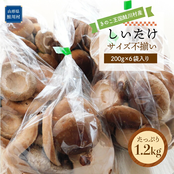 【ふるさと納税】きのこ王国鮭川村産 ［しいたけ］ サイズ不揃い たっぷり1.2kg（300g×4袋入り）