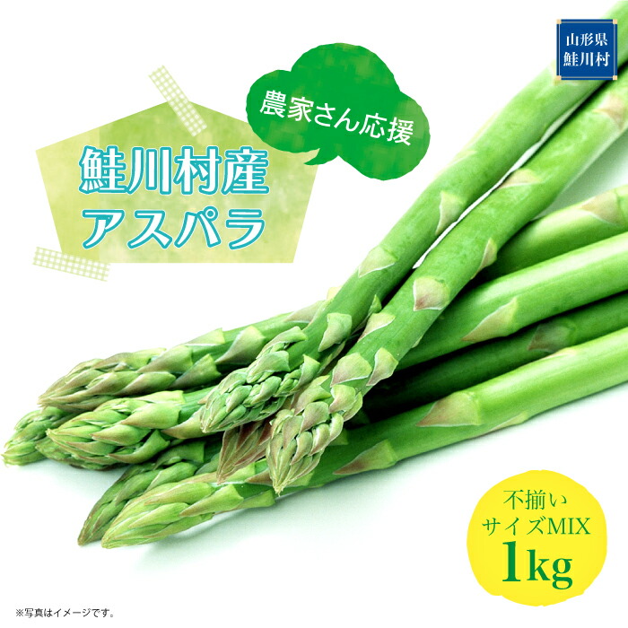 【ふるさと納税】 農家さん応援！！ 鮭川村産 アスパラガス 不揃いサイズ MIX 1kg