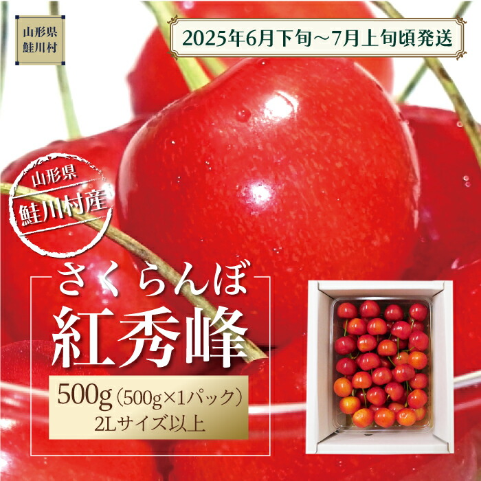 【ふるさと納税】【令和7年産 早期受付】 鮭川村産さくらんぼ ＜紅秀峰＞ 特秀2Lサイズ以上バラ詰め 500g