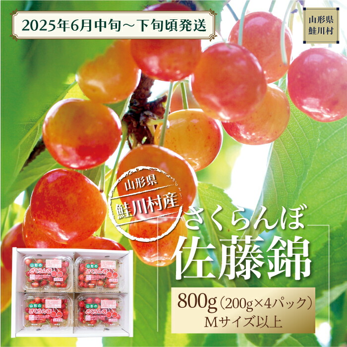 【ふるさと納税】【令和7年産 早期受付】 鮭川村産さくらんぼ ＜佐藤錦＞ M～Lサイズ混合 フードパック800g（200g×4P）（200g×4P）