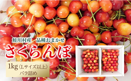 【ふるさと納税】【令和7年産 早期受付】 鮭川村産さくらんぼ ＜品種おまかせ＞ Lサイズ以上バラ詰め 1kg