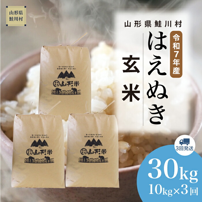 【ふるさと納税】＜令和7年産米＞鮭川村 はえぬき 【玄米】 30kg定期便 （10kg&times;3回発送）＜配送時期選べます＞｜山形県鮭川村