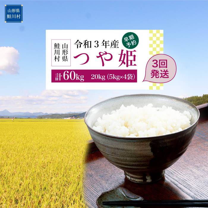 最安値に挑戦 ふるさと納税 令和3年産米早期予約 特別栽培米 つや姫60kg kg 3回発送 年最新海外 Lexusoman Com