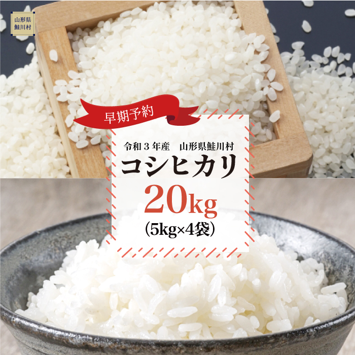 在庫有 楽天市場 ふるさと納税 令和3年産米早期予約 コシヒカリkg 5kg 4袋 山形県鮭川村 保障できる Lexusoman Com