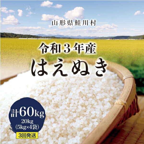 ふるさと納税 令和3年産米 鮭川村産 はえぬき定期便60kg kg 3回発送 Jtltiming Com