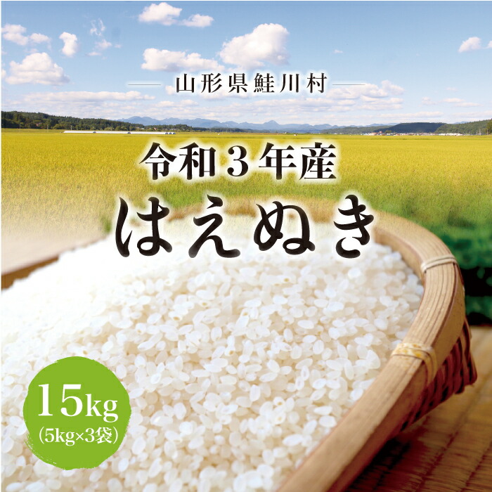 配送時期が選べる 令和4年産 鮭川村 20kg×3回お届け 定期便 60kg はえぬき