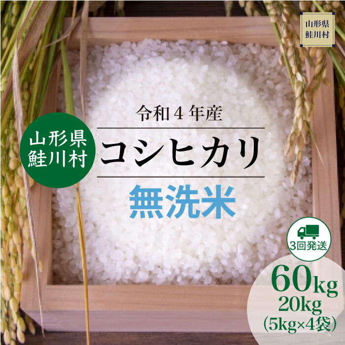 <配送時期が選べる!> 令和4年産 鮭川村 コシヒカリ 定期便 60kg (20kg×3回お届け)