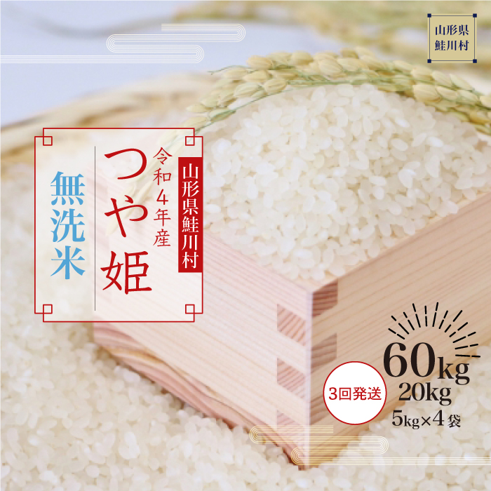 ふるさと納税 山形県 大蔵村 令和5年産 はえぬき［無洗米］10kg（5kg×2