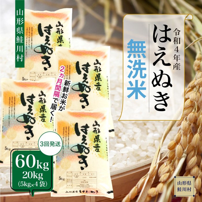 配送時期が選べる 令和4年産 鮭川村 はえぬき 定期便 60kg 20kg×3回お届け 最大79%OFFクーポン