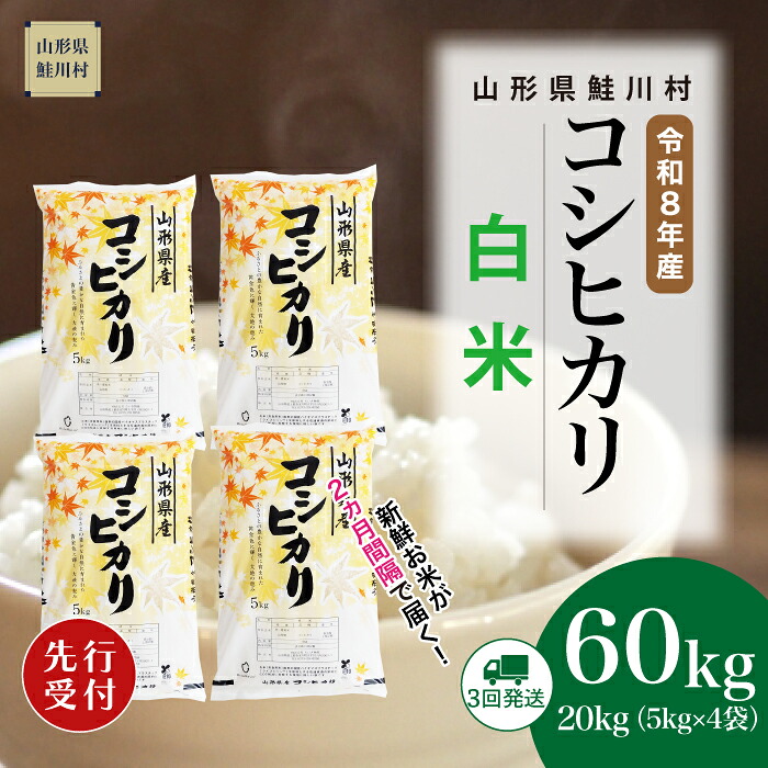 【ふるさと納税】<令和8年産米先行受付> 鮭川村 コシヒカリ 【白米】60kg (20kg×2ヶ月間隔で3回お届け)<配送時期選べます>|山形県鮭川村