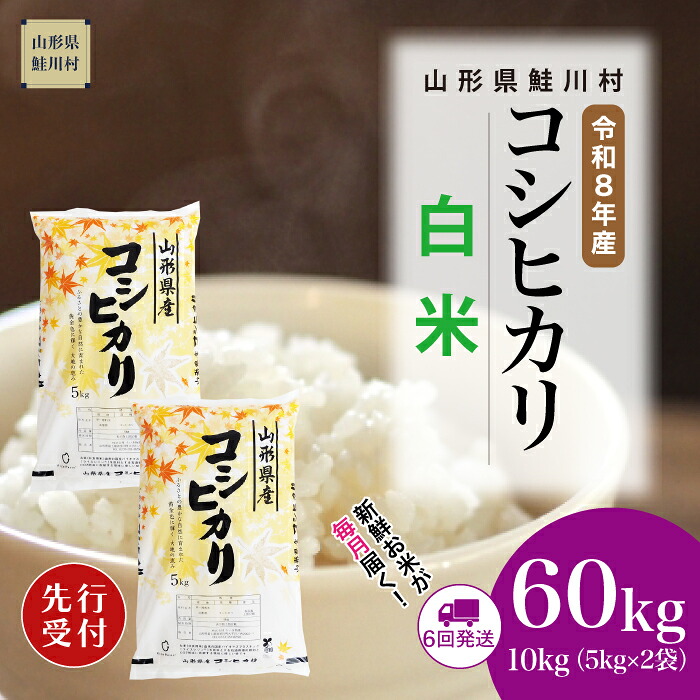 【ふるさと納税】<令和8年産米先行受付> 鮭川村 コシヒカリ 【白米】60kg (10kg×1ヶ月間隔で6回お届け)<配送時期選べます>|山形県鮭川村