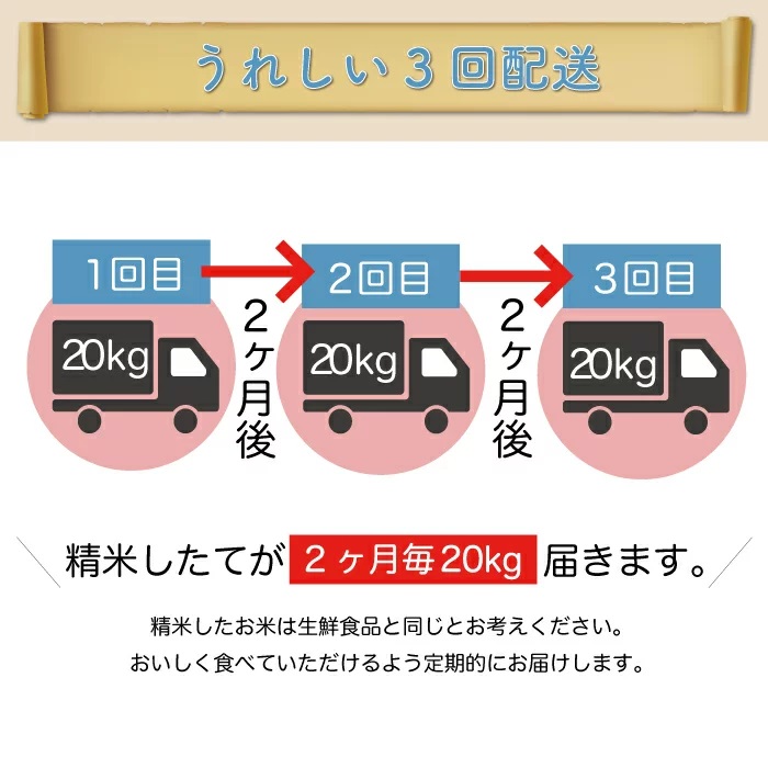 卓出 配送時期が指定できて便利 令和4年産 コシヒカリ 白米 定期便 60kg 20kg×３回お届け fucoa.cl