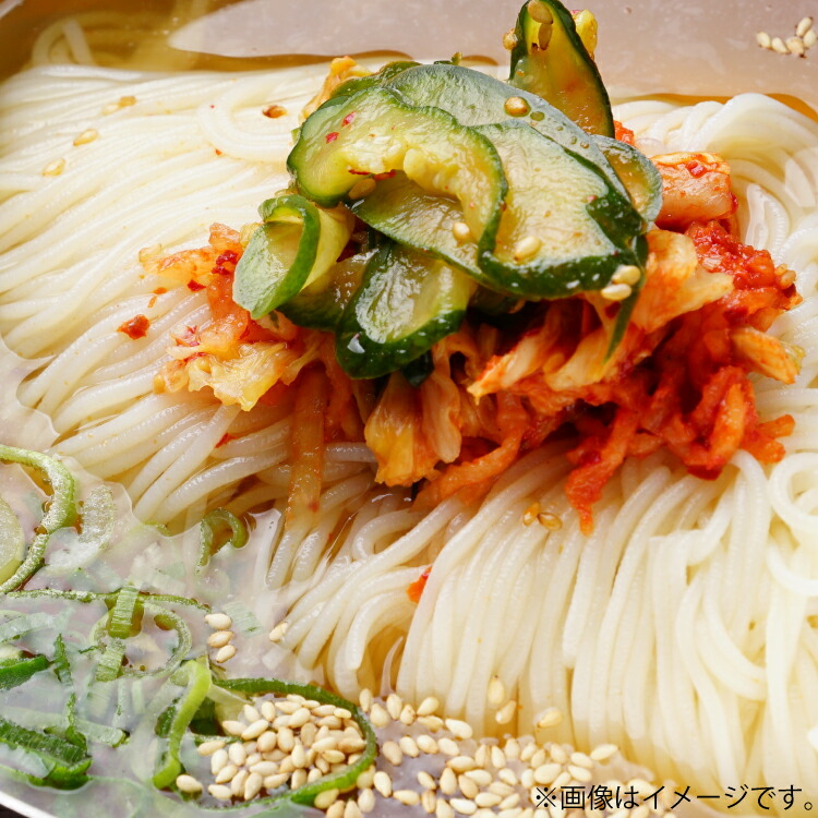 【ふるさと納税】冷麺 選べる 内容量 りんご苑の冷麺 スープ付 [山形県 高畠町 りんご苑] スープ 自家製 生麺 時短 簡単 手軽 冷凍