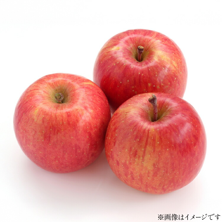 【ふるさと納税】【期間限定発送】 りんご 高畠町産 サンふじ りんご 12～18玉 計 5kg [tk06ays870005 山形県 高畠町 JA山形おきたま] 果物 くだもの フルーツ 林檎 リンゴ ふじ ふじりんご 産地直送