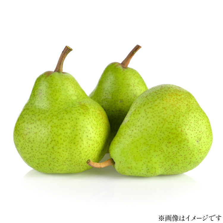 【ふるさと納税】【期間限定発送】 ラ・フランス 高畠町産 ラ・フランス 7～9玉 約 3kg [tk06ays870010 山形県 高畠町 JA山形おきたま] 梨 洋梨 果物 くだもの フルーツ 3キロ