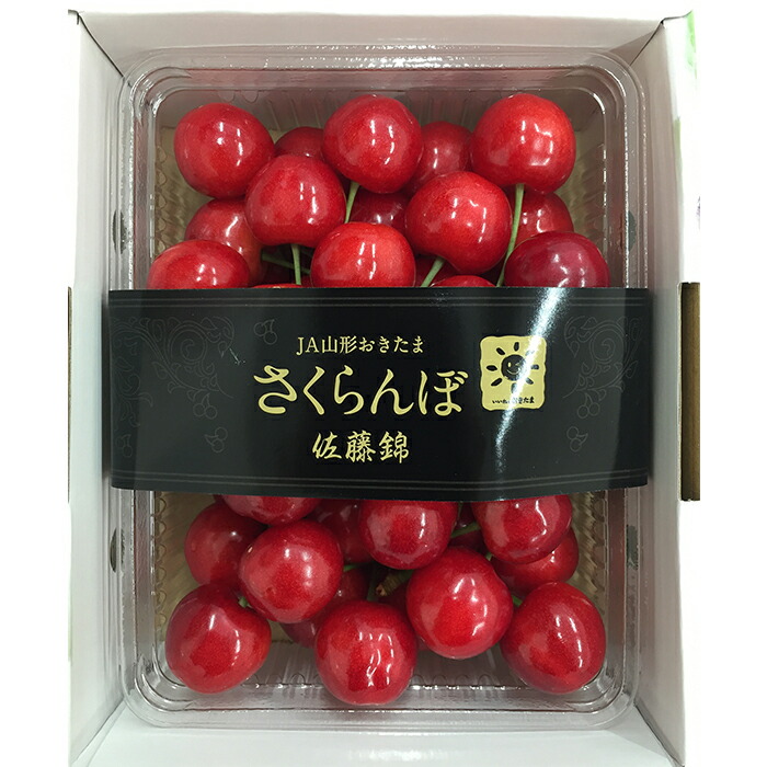 【ふるさと納税】【期間限定発送】 さくらんぼ 置賜産 佐藤錦 特秀 L～3L 500g [tk06ays870014 山形県 高畠町 JA山形おきたま] サクランボ チェリー 山形 果物 フルーツ くだもの