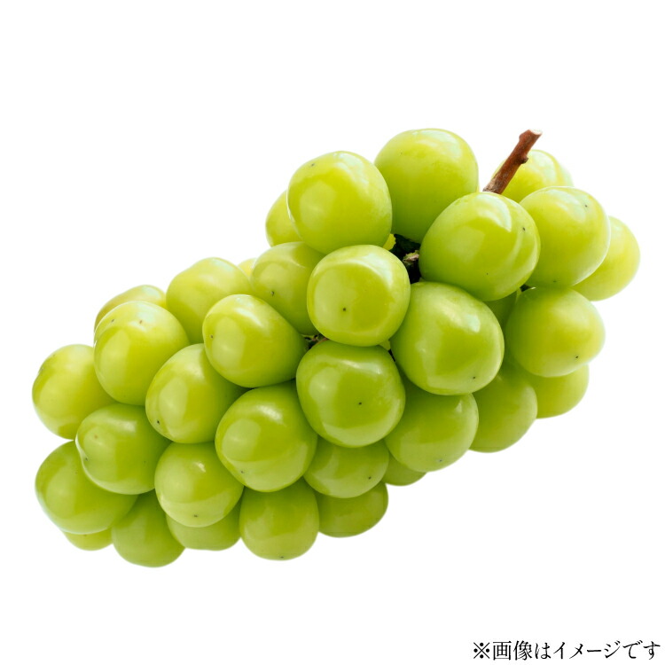 【ふるさと納税】【期間限定発送】 シャインマスカット 秀 2～3房 約 1.5kg 以上 [tk06ays870017 山形県 高畠町 JA山形おきたま] フルーツ 果物 くだもの ぶどう ブドウ 葡萄 1.5キロ 甘い
