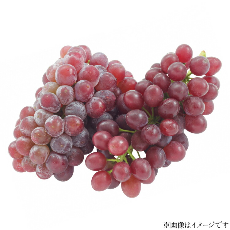 【ふるさと納税】【期間限定発送】 ぶどう 高畠町産 デラウェア 9～12房 約 2kg [tk06ays870022 山形県 高畠町 JA山形おきたま] 種無し ブドウ 葡萄 くだもの 果物 フルーツ 産地直送
