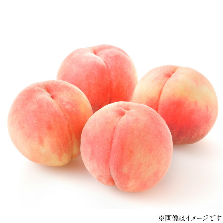 【ふるさと納税】【期間限定発送】 高畠町産 桃 6～10玉 3kg [tk06ays870023 山形県 高畠町 JA山形おきたま] 桃 もも モモ フルーツ くだもの 果物