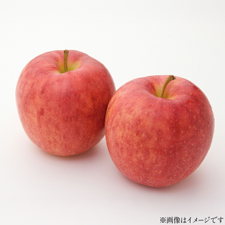 【ふるさと納税】【期間限定発送】 りんご 高畠町産 涼香の季節 14～18玉 5kg [tk06ays870025 山形県 高畠町 JA山形おきたま] 果物 くだもの フルーツ 林檎 リンゴ 産地直送