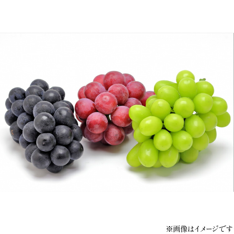 【ふるさと納税】【期間限定発送】 ぶどう 3種 食べ比べ セット ( シャインマスカット ピオーネ クイーンニーナ マイハート クイーンセブン ) [tk06ayt020007 山形県 高畠町 四釜昌和] ぶどう ブドウ 葡萄 マスカット 大粒 種なし 果物 フルーツ くだもの