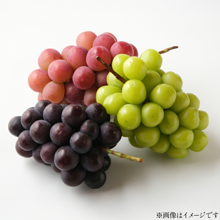 【ふるさと納税】【期間限定発送】 ぶどう 詰め合わせ 5房 約3.5kg [tk06ayt190004 山形県 高畠町 Ｈinataぶどう園] ぶどう ブドウ 葡萄 大粒 シャインマスカット ピオーネ 藤稔 コトピー 安芸クイーン ゴルビー くだもの 果物 フルーツ セット