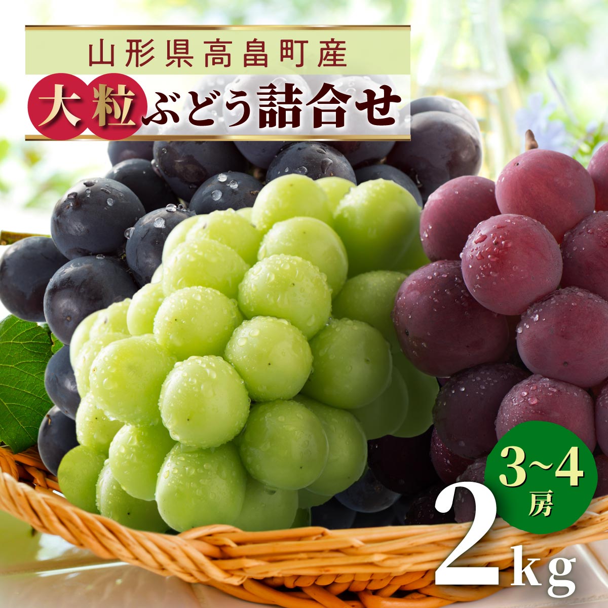 【ふるさと納税】【期間限定発送】 ぶどう 2～3色 約 2kg 詰め合わせ セット [tk06ays870028 山形県 高畠町 JA山形おきたま] シャインマスカット 葡萄 セット ブドウ 巨峰 ピオーネ クイーンニーニャ ゴルビー 高尾 蔵王おとめ 大粒 農家直送 朝採れ